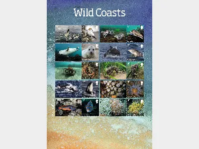 Wild Coasts: Generic Sheet