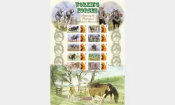 Working Horses [Customised Sheet]