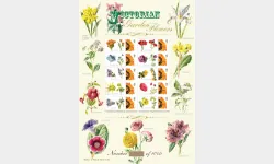 Garden Flowers [Customised Sheet]