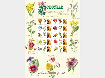 Garden Flowers [Customised Sheet]