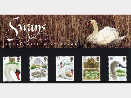 Swans