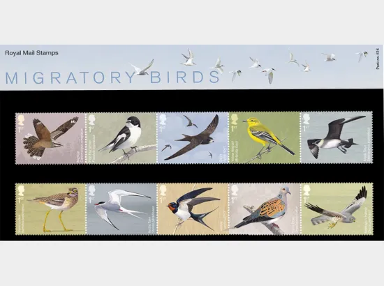 Migratory Birds