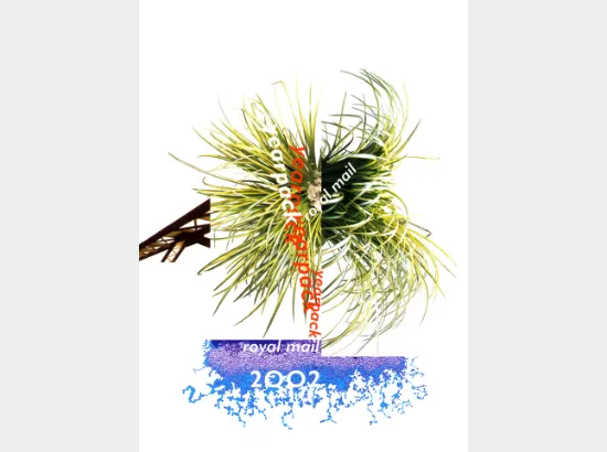 Year Collection: [Year Pack] 2002