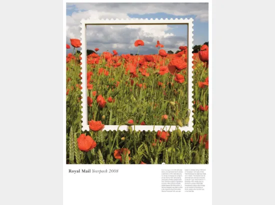 Year Collection: [Year Pack] 2008