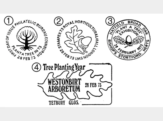 British Trees - The Oak British Trees - The Oak