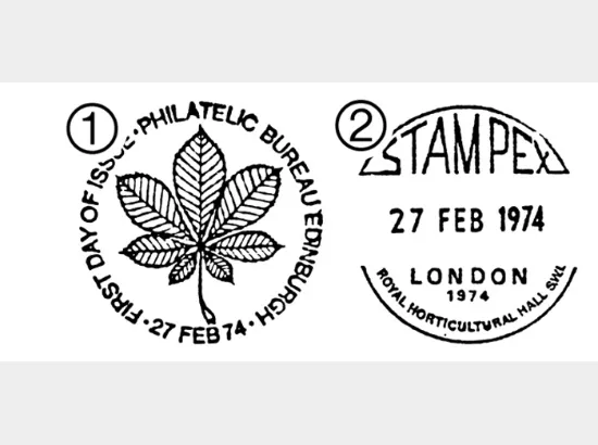 British Trees - The Horse Chestnut British Trees - The Horse Chestnut