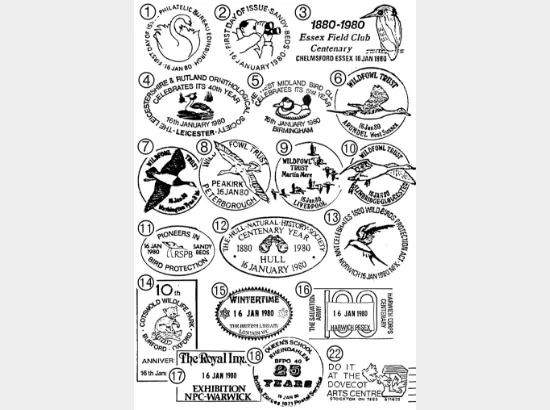 British Birds 1980 British Birds 1980