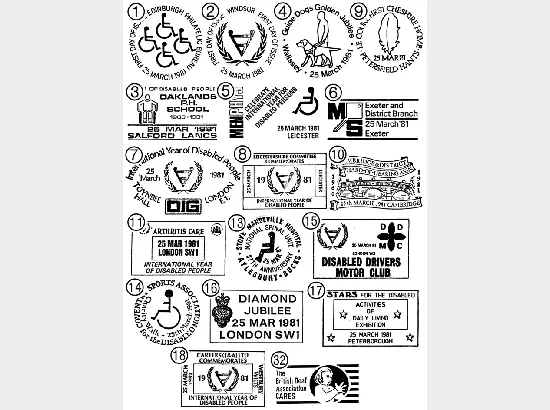 Year of the Disabled