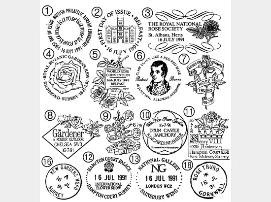 Roses 1991 Roses 1991