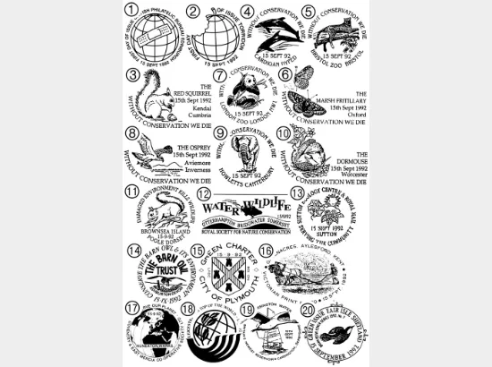 Green Issue Green Issue