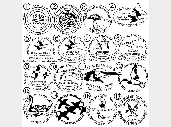 Wildfowl & Wetlands Trust Wildfowl & Wetlands Trust