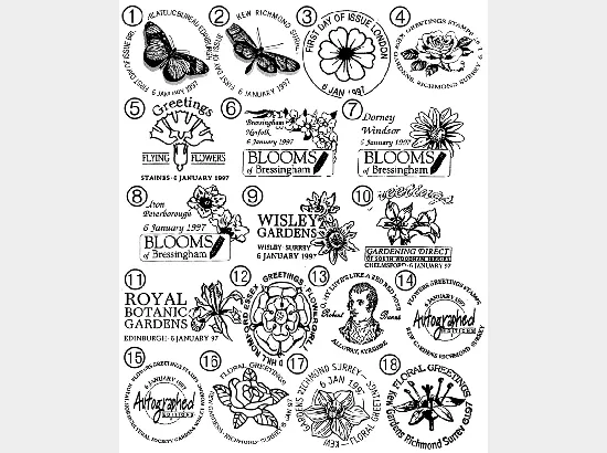 Flower Paintings (Greetings)