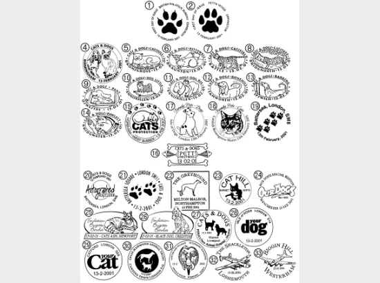 Cats & Dogs Cats & Dogs