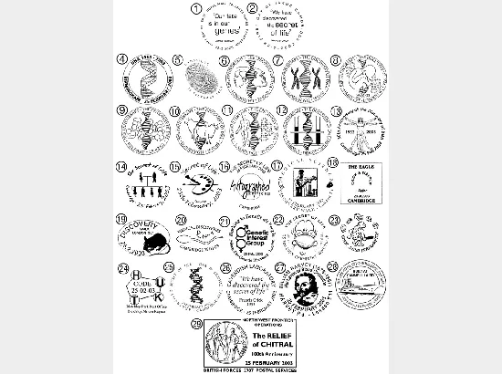 PSB: Microcosmos - Pane 4 PSB: Microcosmos - Pane 4