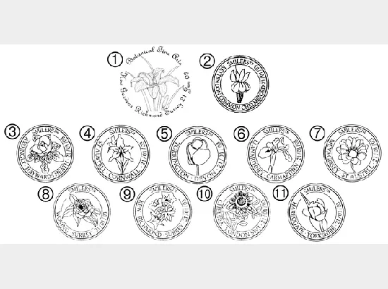 Flowers: Generic Sheet Flowers: Generic Sheet