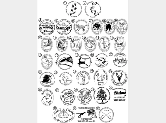 Woodland Animals Woodland Animals