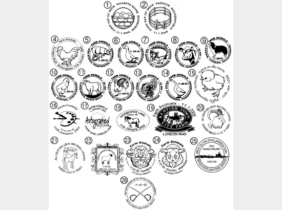 Farm Animals: Generic Sheet Farm Animals: Generic Sheet