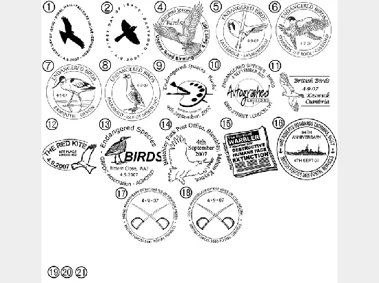 Birds (Endangered Species) Birds (Endangered Species)