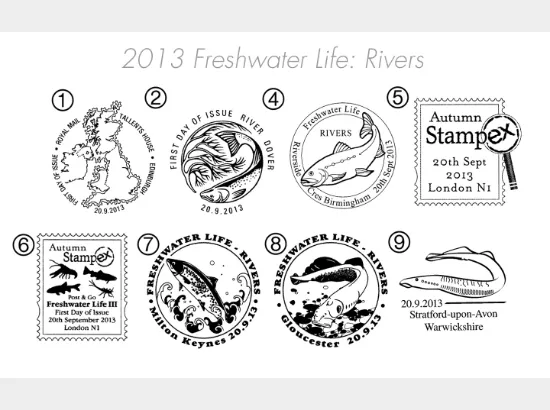 Freshwater Life: Series No.3, Rivers