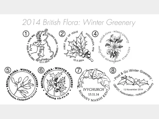 British Flora: Series No.3, Winter Greenery