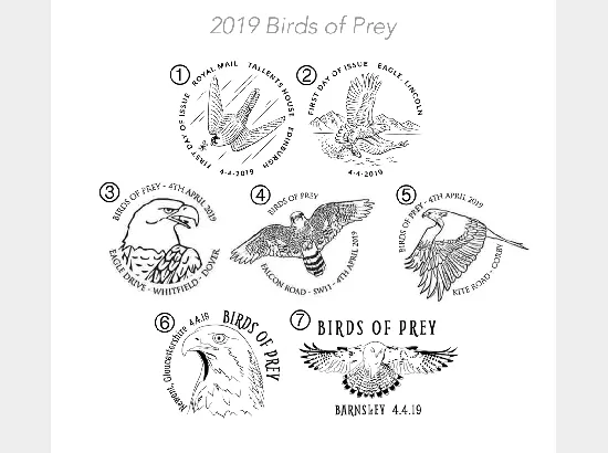 Self Adhesive: Birds of Prey Self Adhesive: Birds of Prey