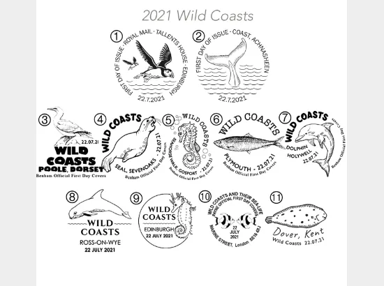Wild Coasts Wild Coasts