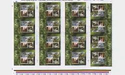 Plants [Press Sheet]