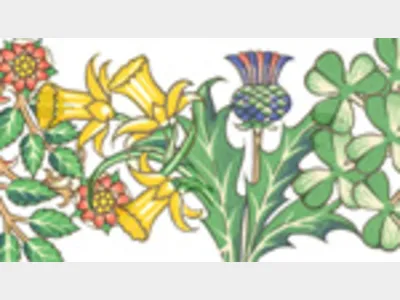 Regionals & Country Pictorials