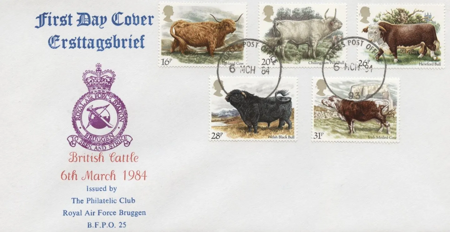 ZTS_Bruggen_1984_03_06_Cattle ZTS_Bruggen_1984_03_06_Cattle