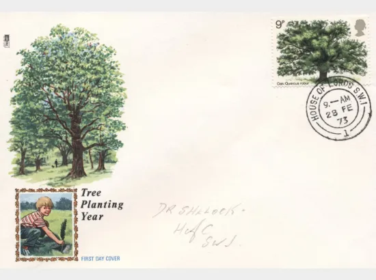 British Trees - The Oak