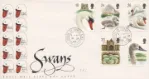 Z_1993_01_19_Swans Z_1993_01_19_Swans