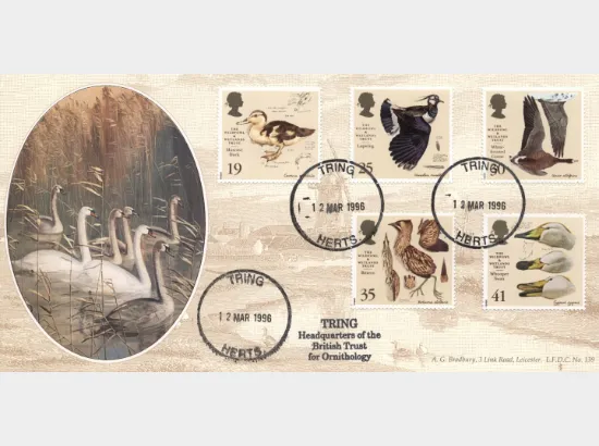 Wildfowl & Wetlands Trust