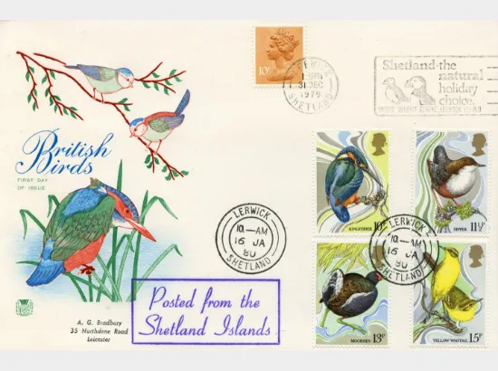 British Birds 1980