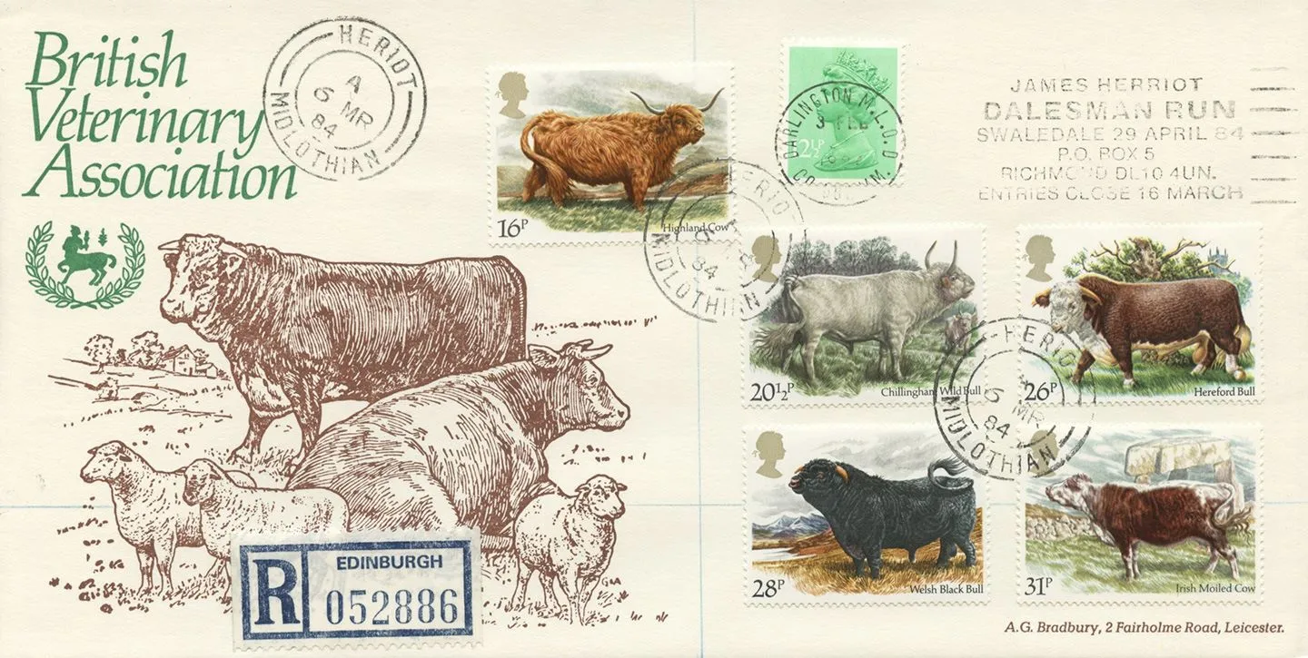 x1984_Cattle_Dalesman