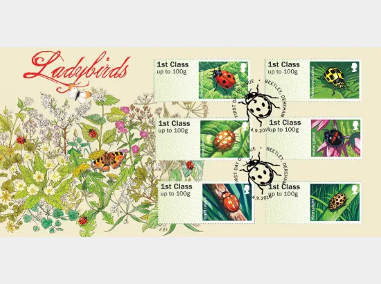 Ladbybirds