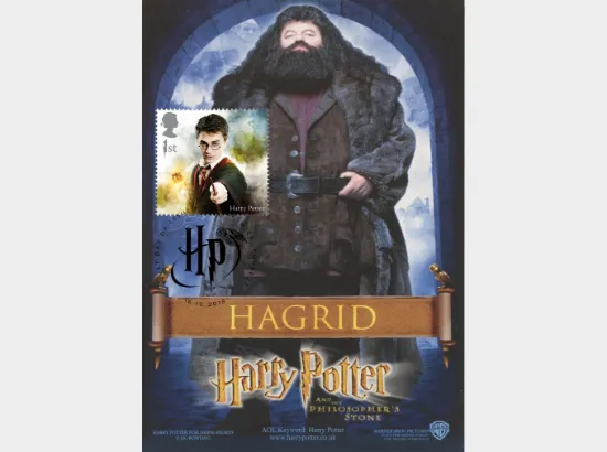 Harry Potter Harry Potter