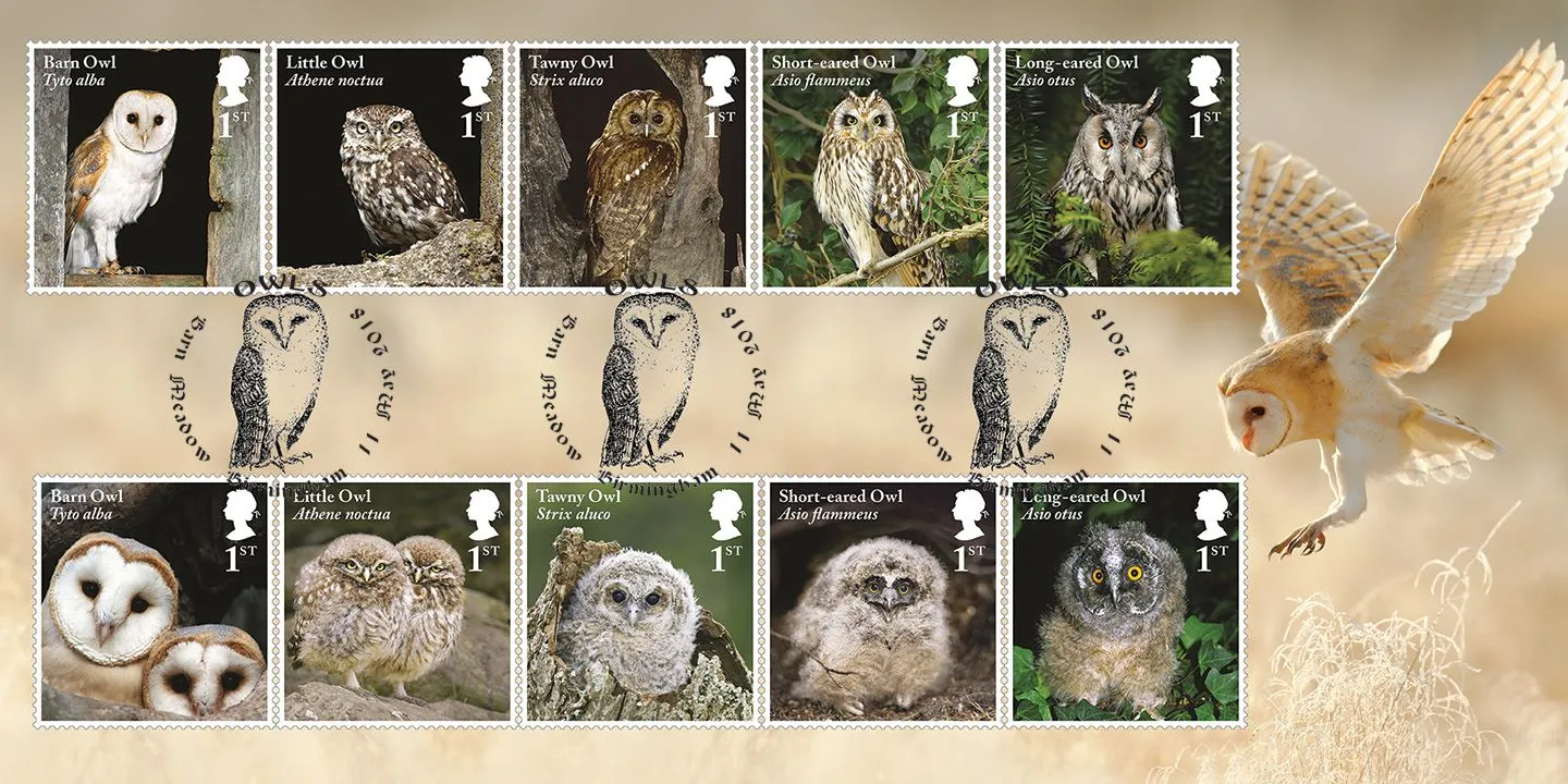 x2018_Owls_485X x2018_Owls_485X