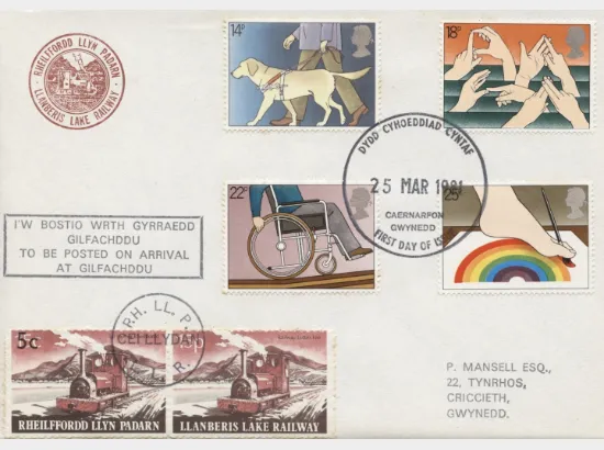 Year of the Disabled