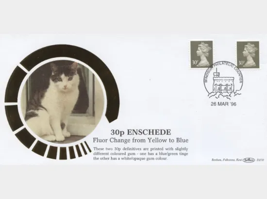 Machins (EP): 30p Sage