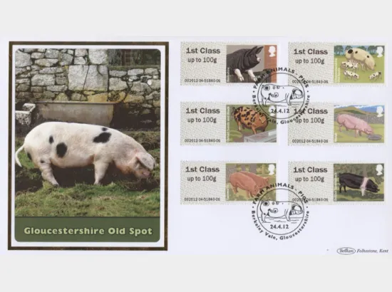 Farm Animals: Series No.2, Pigs