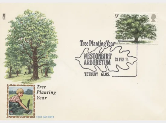 British Trees - The Oak