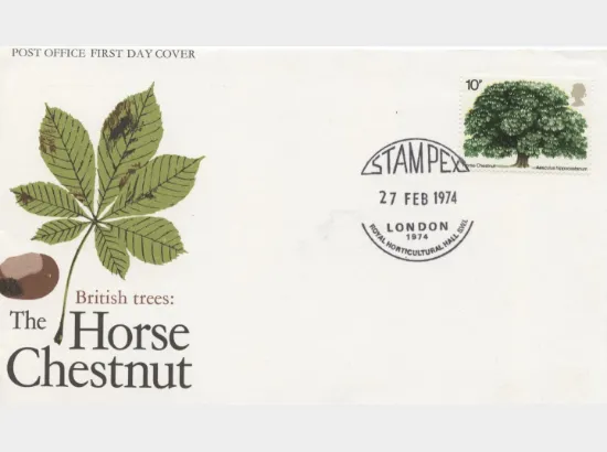 British Trees - The Horse Chestnut