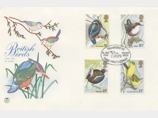 British Birds 1980