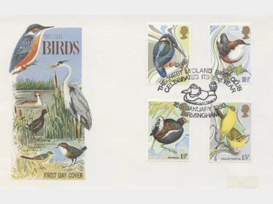 British Birds 1980