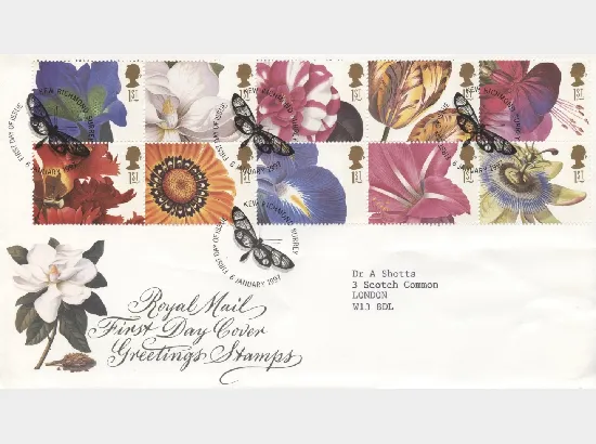 Flower Paintings (Greetings)