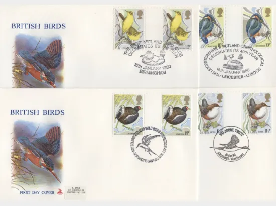 British Birds 1980