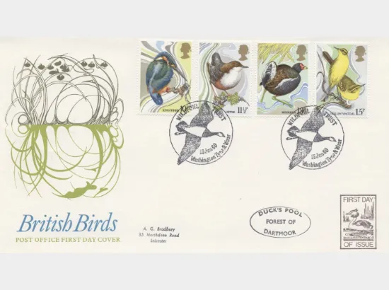 British Birds 1980