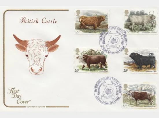 British Cattle