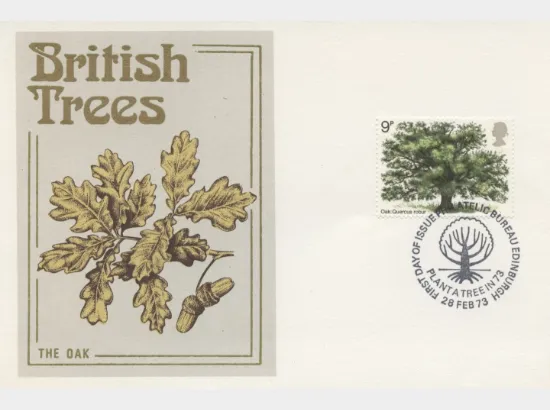 British Trees - The Oak