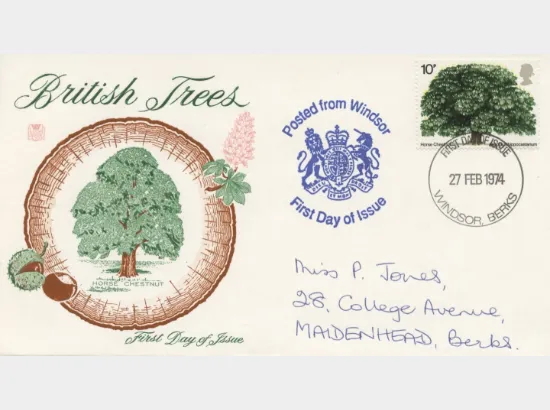 British Trees - The Horse Chestnut